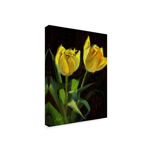 Hall Groat Ii 'Yellow Tulips Black' Canvas Art,18x24